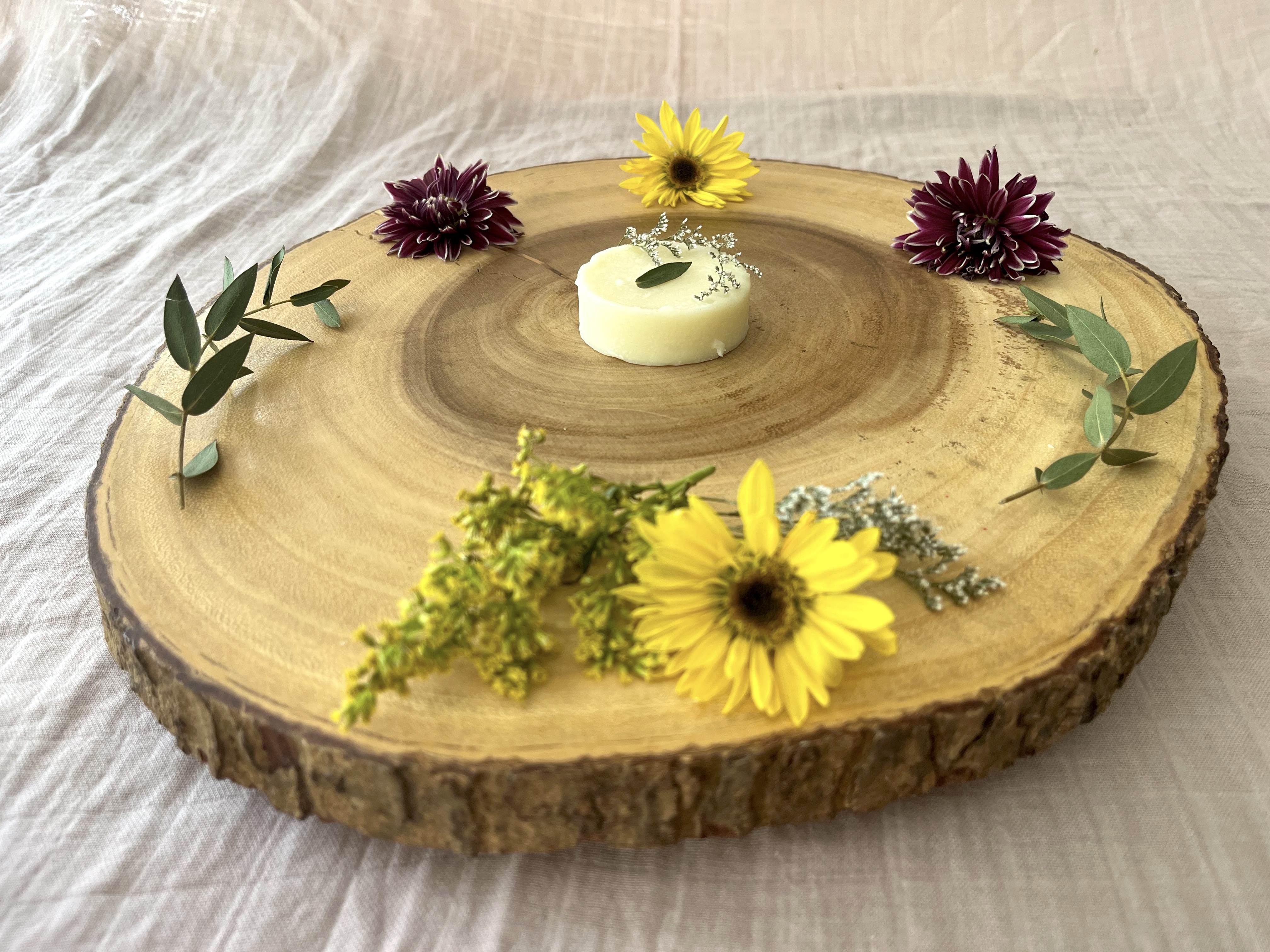 Tallow Lotion Bars